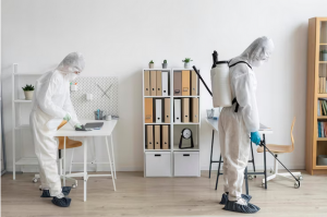 Clearing the Air: Mold Remediation in Fort Lauderdale